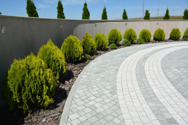 Best Driveway Repair Near Me  in Cheverly, MD